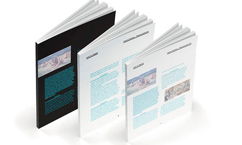 Katalog - Broşür - El İlanı ve Föy
