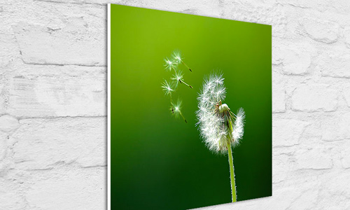 PVC (Decota) ve Photoblok Uygulamaları